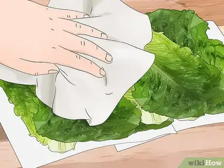 Imagen titulada Tell if Lettuce Has Gone Bad Step 12