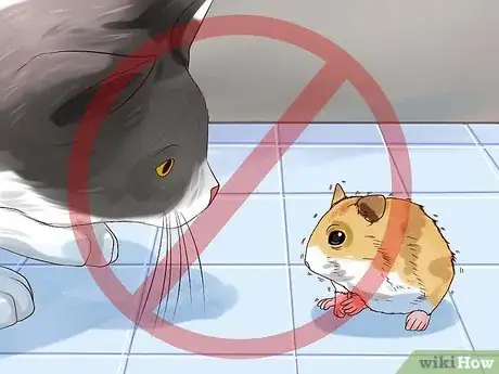 Imagen titulada Treat Your Sick Hamster Step 10