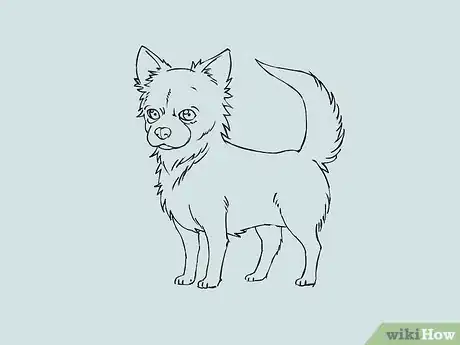 Imagen titulada Draw a Chihuahua Step 10