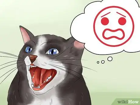 Imagen titulada Calm Your Angry Cat Step 1