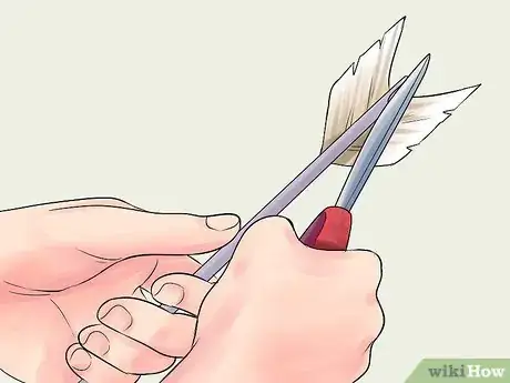 Imagen titulada Make a Natural Bow and Arrow Step 12