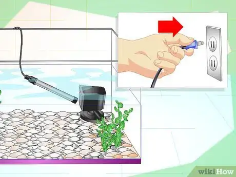 Imagen titulada Fix Cloudy Aquarium Water Step 10