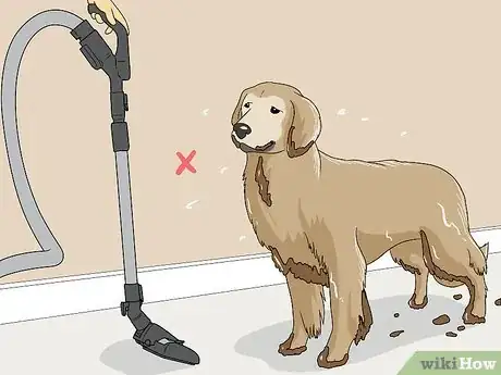 Imagen titulada Vacuum Your Dog Step 13