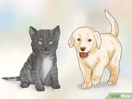 Imagen titulada Make Your Dog Like Your Cat Step 4