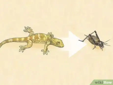 Imagen titulada Get Rid of Crickets Step 9