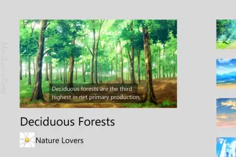 Imagen titulada Educational Video About Forests.png