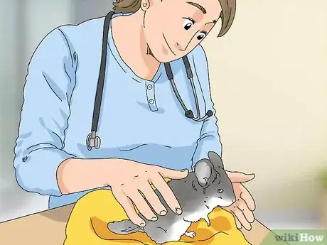 Imagen titulada Treat Eye Irritations in Chinchillas Step 14