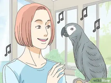 Imagen titulada Raise an African Grey Parrot Step 12