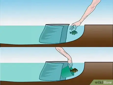 Imagen titulada Fish Without Fishing Gear Step 13