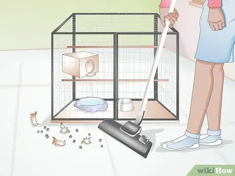 Imagen titulada Clean a Birdcage Step 4