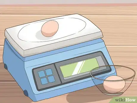 Imagen titulada Understand Osmosis with Eggs Step 1