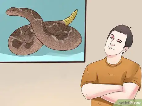 Imagen titulada Avoid a Rattlesnake Attack Step 1