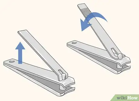 Imagen titulada Use Nail Clippers Step 2