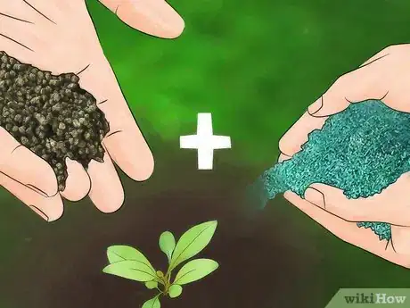 Imagen titulada Fertilize Flowers Step 11