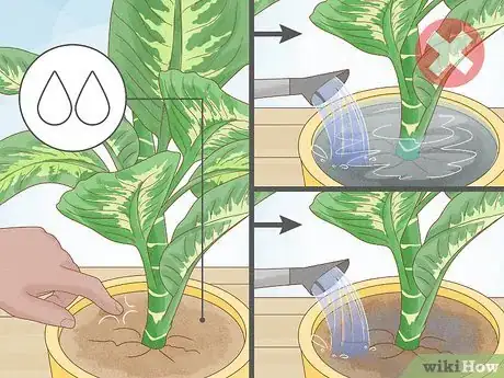 Imagen titulada Prune Houseplants Step 11