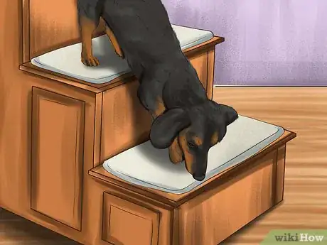 Imagen titulada Know if Your Dog Is Losing Its Eyesight Step 6