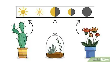 Imagen titulada Plant Flowers Step 2