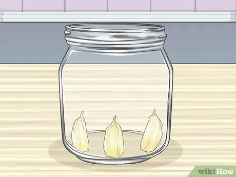 Imagen titulada Grow Garlic in Water Step 2