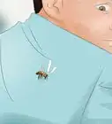 escapar de abejas asesinas