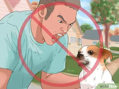 Imagen titulada Groom a Dog That Bites Step 4