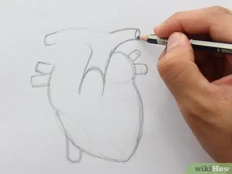 Imagen titulada Draw the Internal Structure of the Heart Step 7