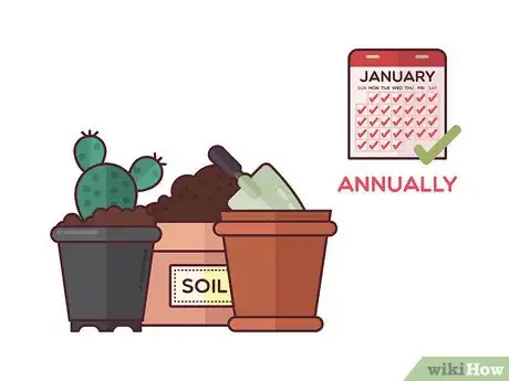 Imagen titulada Grow Cactus Indoors Step 13