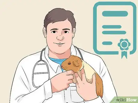 Imagen titulada Care for a Guinea Pig with Pneumonia Step 8