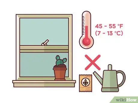 Imagen titulada Grow Cactus Indoors Step 14