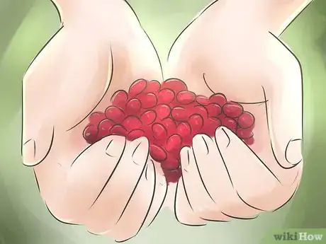 Imagen titulada Grow Cranberries Step 11