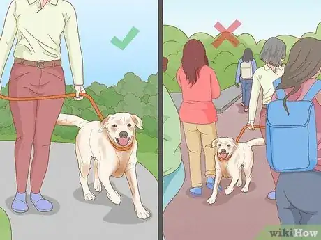 Imagen titulada Train Your Dog to Ignore Other Dogs Step 7