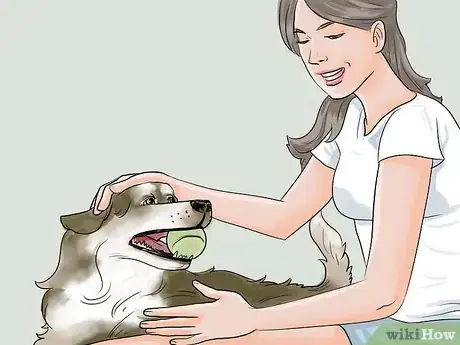 Imagen titulada Calm a Dog During Thunderstorms Step 7