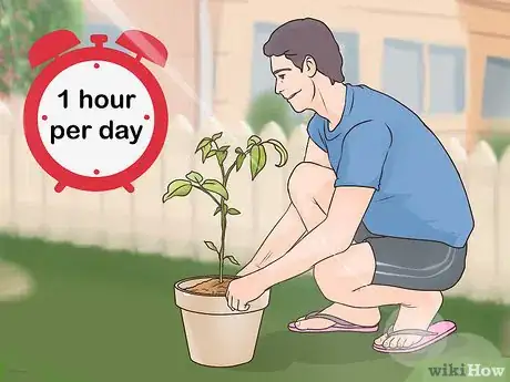 Imagen titulada Start a Peach Tree from a Pit Step 11