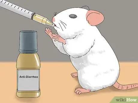 Imagen titulada Treat Diarrhea in Rats Step 10