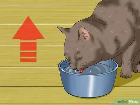 Imagen titulada Help a Cat Not Throw Up Step 10