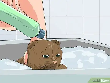 Imagen titulada Train a Cat to Take a Bath Step 10