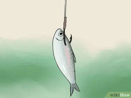 Imagen titulada Catch Garfish Step 11