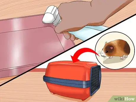 Imagen titulada Care for a Hamster That Bites Step 3