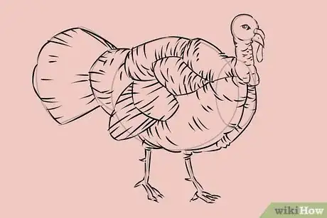 Imagen titulada Draw a Turkey Step 21