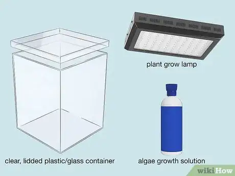 Imagen titulada Grow Bioluminescent Algae at Home Step 2