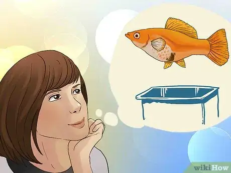 Imagen titulada Tell if Your Fish Is Having Babies Step 6