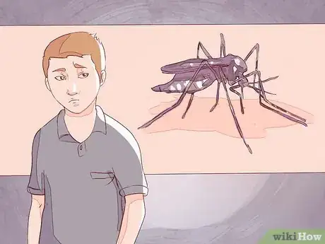 Imagen titulada Differentiate Between Malaria, Dengue, and Chikungunya Step 14