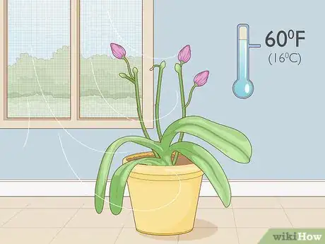 Imagen titulada Get Orchids to Rebloom Step 11