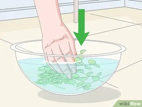 Imagen titulada Clean Aquarium Plants Step 5