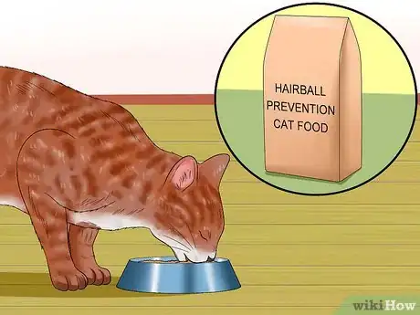 Imagen titulada Help a Cat Not Throw Up Step 5