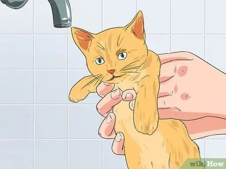 Imagen titulada Train a Cat to Take a Bath Step 11