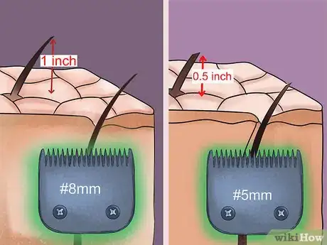 Imagen titulada Groom Chest Hair Step 9