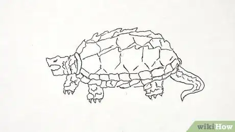 Imagen titulada Draw a Turtle Step 35