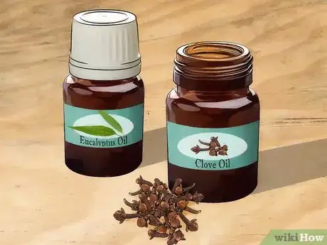 Imagen titulada Get Rid of Bug Bites Step 24