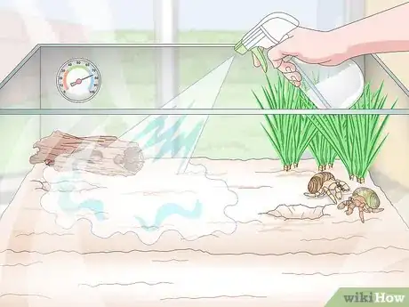 Imagen titulada Maintain Humidity in a Pet Hermit Crab Habitat Step 15