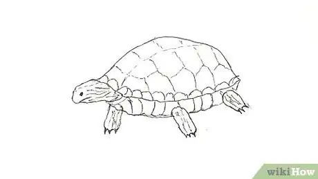 Imagen titulada Draw a Turtle Step 26